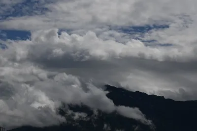 DSC_6276 (Large).JPG